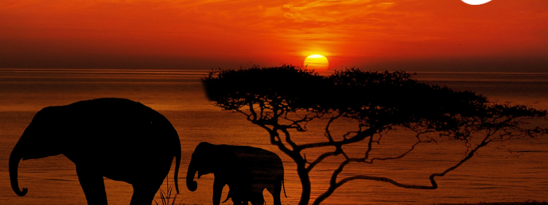 3 recorridos increíbles por Africa